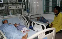 Ăn bánh trôi ngô mốc, ba mẹ con bị ngộ độc nặng