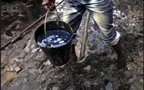 Nigeria: Thế lực nào đang bảo kê cho nạn ăn cắp dầu?