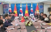 Thủ tướng Nguyễn Tấn Dũng hội đàm với Tổng thống Hàn Quốc
