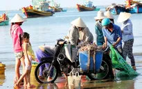 Một lần đi chợ hải sản giá rẻ trên bãi biển Mũi Né