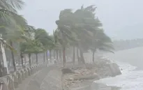 Mưa lũ lịch sử ở Quảng Ninh: Khoảng 1500 du khách vẫn mắc kẹt tại Cô Tô
