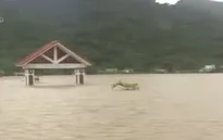 Đảo Cô Tô: Thực phẩm và rau xanh chỉ có thể đáp ứng được hơn 3 ngày nữa