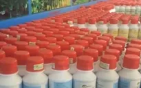 Cảnh giác cao độ với mô hình kinh doanh phân bón đa cấp
