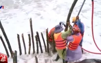Hội An huy động gần 500 người 'giải cứu' bờ biển Cửa Đại