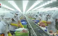 Mỹ áp quy định giám sát cá tra Việt Nam là trái nguyên tắc của WTO