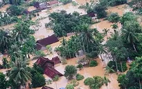 2015 - Năm của cam kết và hành động ứng phó biến đổi khí hậu
