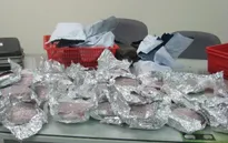 TP.HCM: Bắt khách Canada mang 50.000 viên ma túy tổng hợp