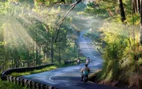 10 lý do nên du lịch Đà Lạt ít nhất một lần trong đời