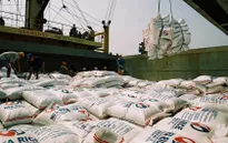Philippines sẽ nhập khẩu bổ sung gạo