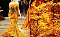 Tuyệt đẹp những mẫu thiết kế lấy cảm hứng từ thiên nhiên