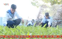 Những mảnh vườn rau xanh nơi đầu sóng ngọn gió Trường Sa