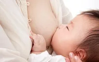 Cho con bú sữa mẹ ở ngày đầu chào đời