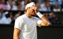 Del Potro bất ngờ tuyên bố rút lui khỏi Úc mở rộng 2015