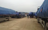 Hà Tĩnh: Phạt gần 400 triệu đồng đoàn xe chở gỗ quá tải