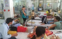 Hơn 43.000 trường hợp mắc sốt xuất huyết trên cả nước