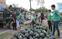 Giới trẻ bán dưa hấu giúp nông dân vùng lụt Quảng Nam
