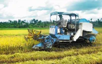 Ưu tiên vốn hỗ trợ xã điểm, xã khó khăn xây dựng nông thôn mới