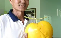 Dưa hấu có bản đồ Việt Nam