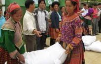 Hỗ trợ gạo cho nhân dân đón Tết Nguyên đán