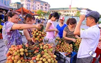 Rượu nếp, trái cây đắt hàng dịp Tết Đoan Ngọ