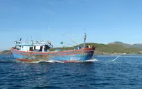 Quảng Bình: Cứu hộ thành công tàu cá cùng 15 ngư dân gặp nạn