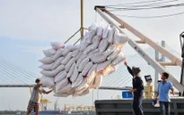 Hợp đồng xuất khẩu gạo tháng 10 cao nhất từ trước đến nay