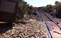 Bình Thuận: Tai nạn nghiêm trọng, đường sắt Bắc - Nam tê liệt nhiều giờ