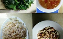 Về quê biển ăn sứa nộm ngày hè