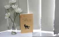 Cuốn sách nên đọc khi đầu óc trống rỗng