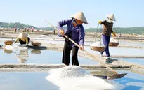 Quảng Ngãi tiếp tục vận động “giải cứu” muối Sa huỳnh