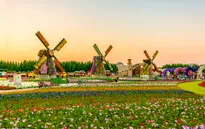 Choáng ngợp vườn hoa lớn nhất thế giới giữa sa mạc ở Dubai