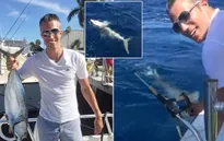 Van Persie phấn khởi khoe clip câu nhầm cá mập
