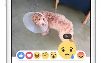 Facebook thử biểu tượng cảm xúc mới thay thế nút Dislike