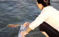 Người dân nô nức thả cá chép tiễn ông Táo về trời