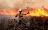 Indonesia phát triển hệ thống kênh rạch kiểm soát cháy rừng
