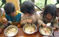 Tặng bữa trưa cho học sinh dân tộc ở Mường Nhé, Điện Biên