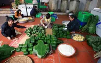 Hà Nội: Làng nghề bánh chưng Tranh Khúc hối hả vào dịp Tết