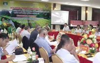 Tham vấn quốc tế về quản lý di sản quần thể danh thắng Tràng An