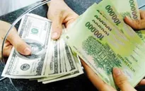 Vấn đề kinh tế nổi bật tuần qua: Tỷ giá USD/VND tăng mạnh