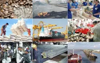 Doanh nghiệp FDI xuất siêu 13 tỉ USD