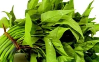 Những loại rau không nên ăn nhiều vào mùa Hè