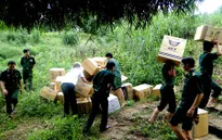 Quảng Trị tích cực phòng, chống buôn lậu thuốc lá