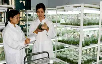 Doanh nghiệp khoa học công nghệ trong nước trước thách thức TPP