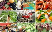 Hà Nội dành 2.222 tỉ đồng để sản xuất thực phẩm sạch