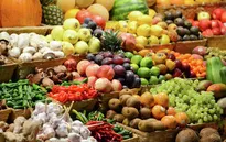 Ai Cập muốn thay thế Thổ Nhĩ Kỳ xuất khẩu hàng hóa vào Nga