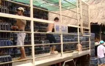 Hà Nội, TP.HCM sẽ có thanh tra an toàn thực phẩm cấp phường, xã