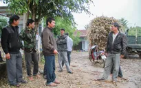 Gia Lai: Nông dân bán mía lấy... đường