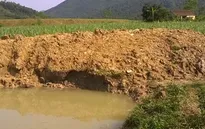 Thanh Hóa: Hai trẻ tắm ao bị đuối nước thương tâm