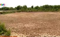 Xuất khẩu thủy sản gặp khó, người nuôi tôm "treo" ao