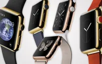 Đặc quyền VIP của những khách hàng mua Apple Watch Edition